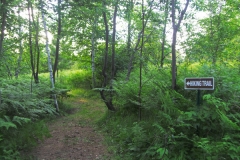 camping-season-2007-051