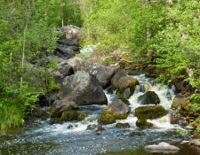 june-5-2011-hike-at-rock-dam-1